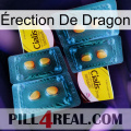 Érection De Dragon cialis5
